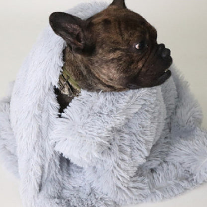 6762811f819b2939ec034e69527b9f2e