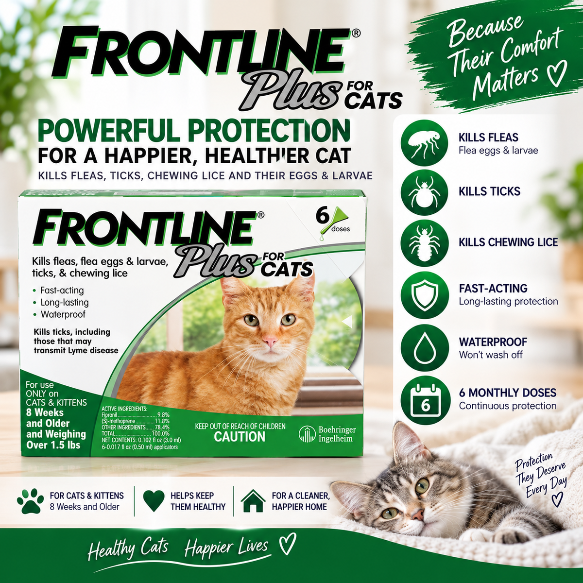 FRONTLINE Plus for Cats & Kittens | Flea & Tick Treatment – 6 Doses
