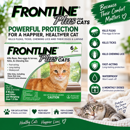 FRONTLINE Plus for Cats & Kittens | Flea & Tick Treatment – 6 Doses