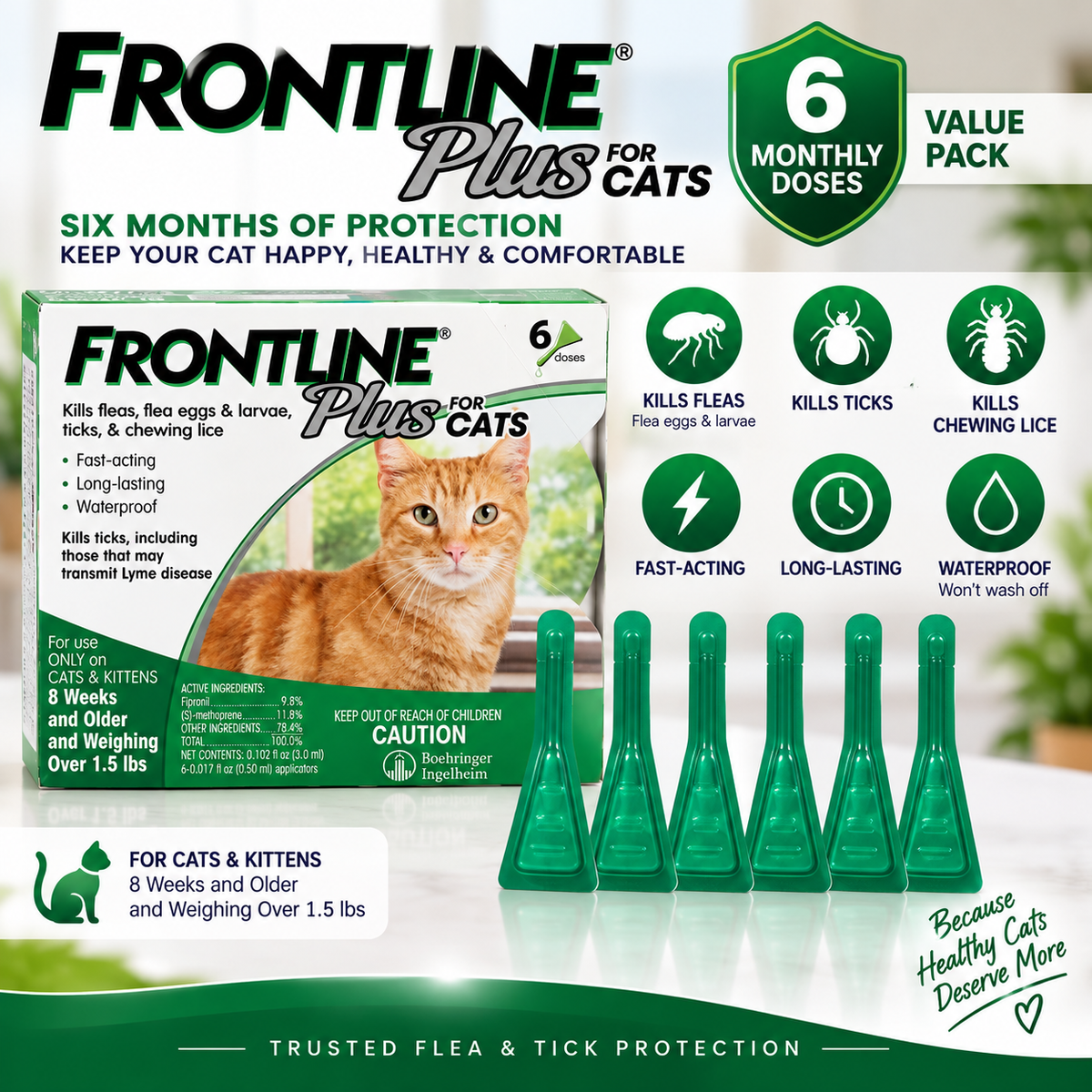 FRONTLINE Plus for Cats & Kittens | Flea & Tick Treatment – 6 Doses