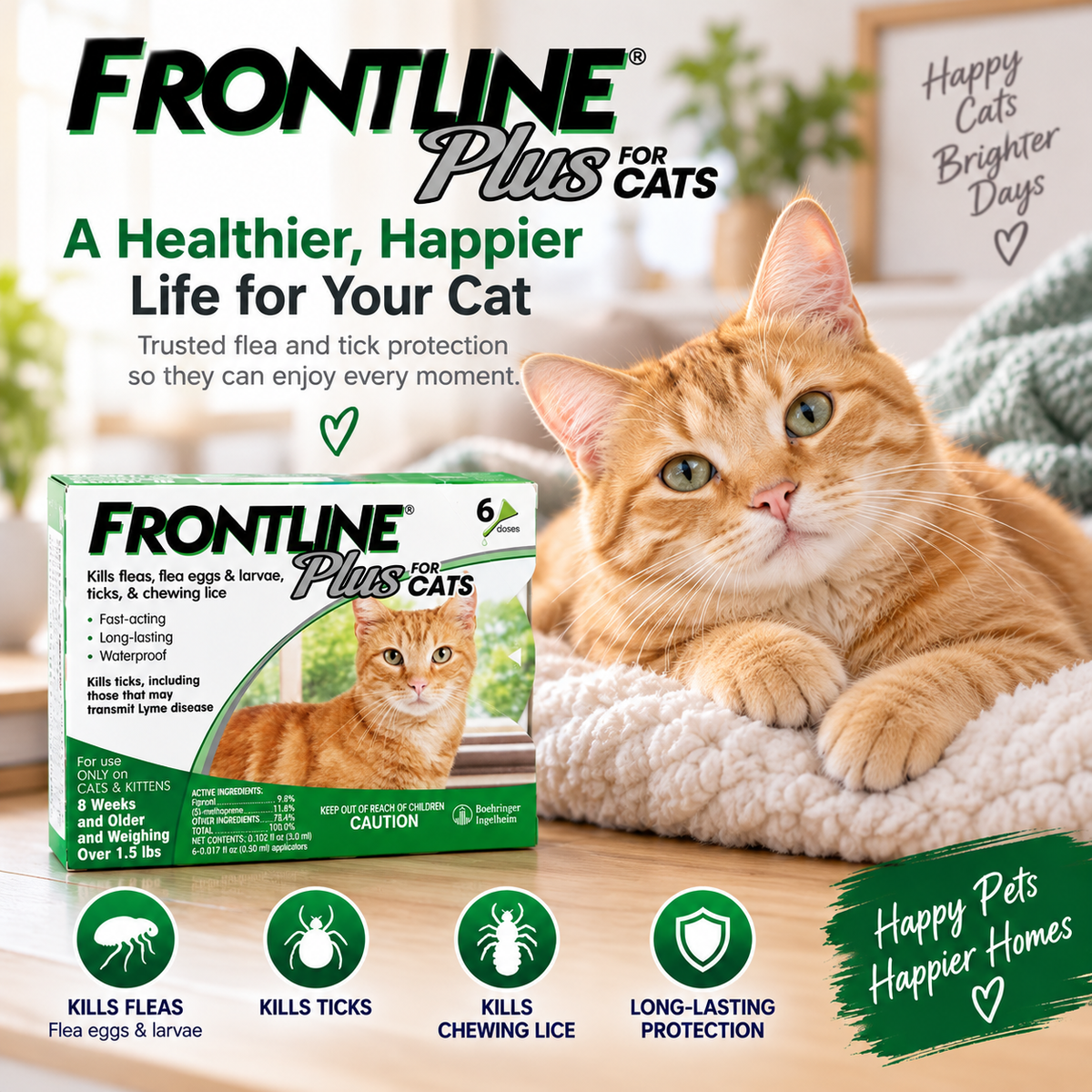 FRONTLINE Plus for Cats & Kittens | Flea & Tick Treatment – 6 Doses