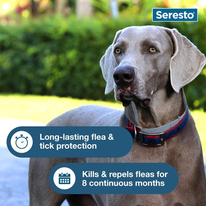 Seresto Flea & Tick Collar For Dogs Over 18 lbs., Treatment & Prevention, Vet-Recommend, 8 Month Protection